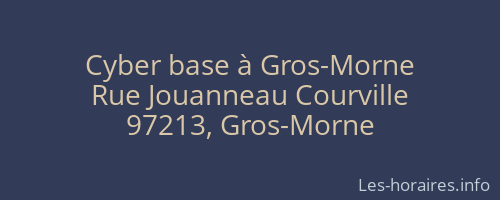 Cyber base à Gros-Morne