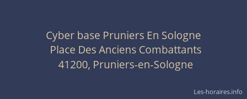 Cyber base Pruniers En Sologne
