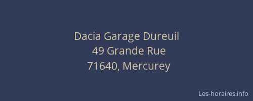 Dacia Garage Dureuil