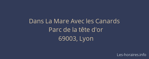 Dans La Mare Avec les Canards