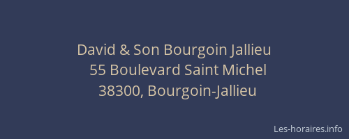 David & Son Bourgoin Jallieu