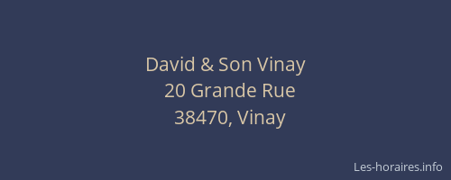 David & Son Vinay