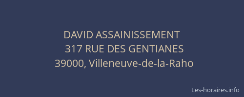 DAVID ASSAINISSEMENT