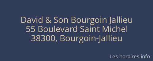 David & Son Bourgoin Jallieu