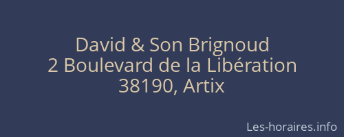 David & Son Brignoud