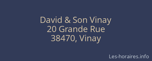 David & Son Vinay