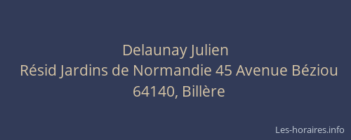 Delaunay Julien