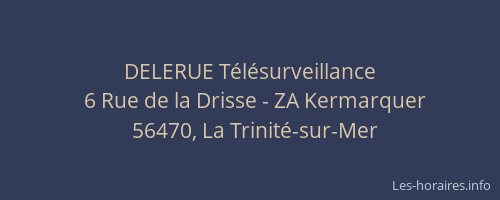 DELERUE T&eacute;l&eacute;surveillance