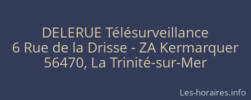 DELERUE Télésurveillance