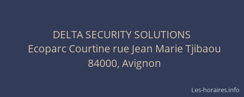 DELTA SECURITY SOLUTIONS