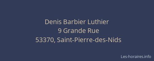 Denis Barbier Luthier