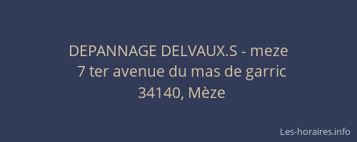 DEPANNAGE DELVAUX.S - meze