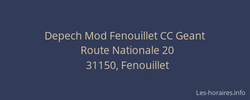 Depech Mod Fenouillet CC Geant