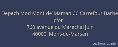 Depech Mod Mont-de-Marsan CC Carrefour Barbe d'or