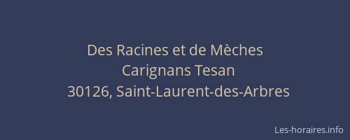 Des Racines et de M&egrave;ches