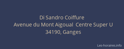 Di Sandro Coiffure