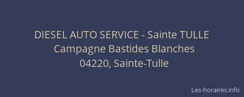 DIESEL AUTO SERVICE - Sainte TULLE