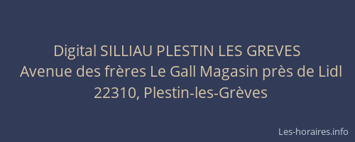 Digital SILLIAU PLESTIN LES GREVES
