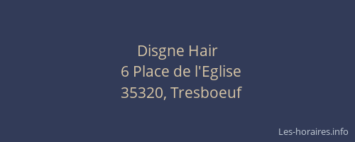 Disgne Hair