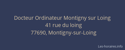 Docteur Ordinateur Montigny sur Loing