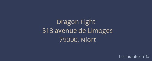 Dragon Fight