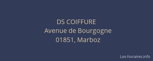 DS COIFFURE