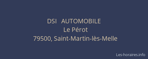 DSI   AUTOMOBILE