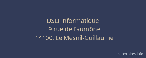 DSLI Informatique