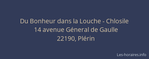Du Bonheur dans la Louche - Chlosile