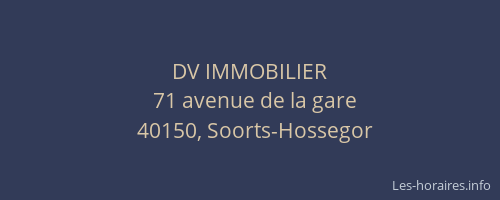 DV IMMOBILIER