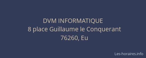 DVM INFORMATIQUE