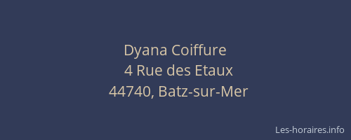 Dyana Coiffure