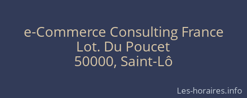 e-Commerce Consulting France
