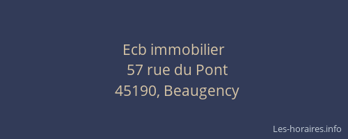 Ecb immobilier