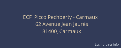 ECF  Picco Pechberty - Carmaux