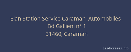 Elan Station Service Caraman  Automobiles