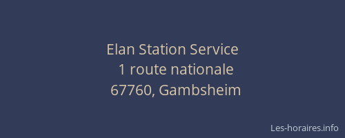 Elan Station Service