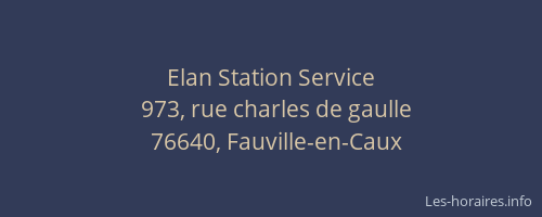 Elan Station Service