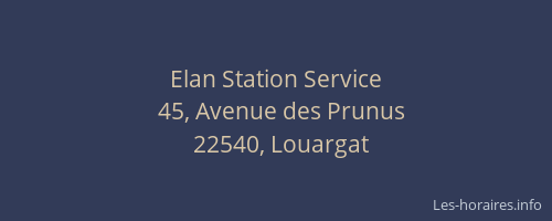 Elan Station Service