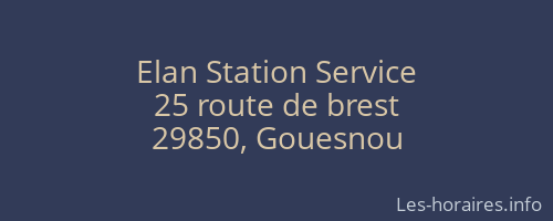 Elan Station Service
