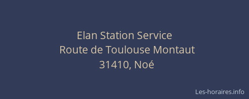 Elan Station Service