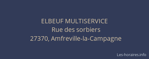 ELBEUF MULTISERVICE