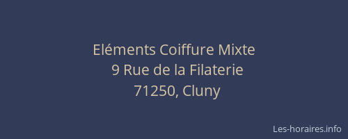El&eacute;ments Coiffure Mixte