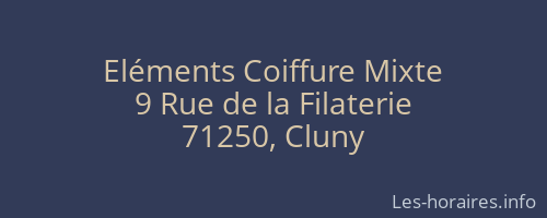 Eléments Coiffure Mixte