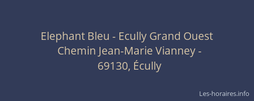 Elephant Bleu - Ecully Grand Ouest