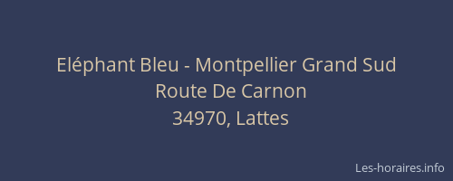 Eléphant Bleu - Montpellier Grand Sud