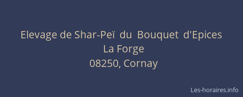 Elevage de Shar-Peï  du  Bouquet  d'Epices