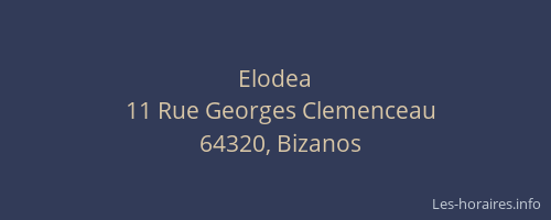 Elodea
