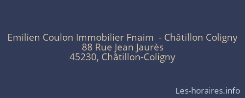 Emilien Coulon Immobilier Fnaim  - Châtillon Coligny