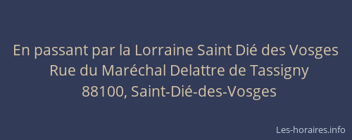 En passant par la Lorraine Saint Di&eacute; des Vosges